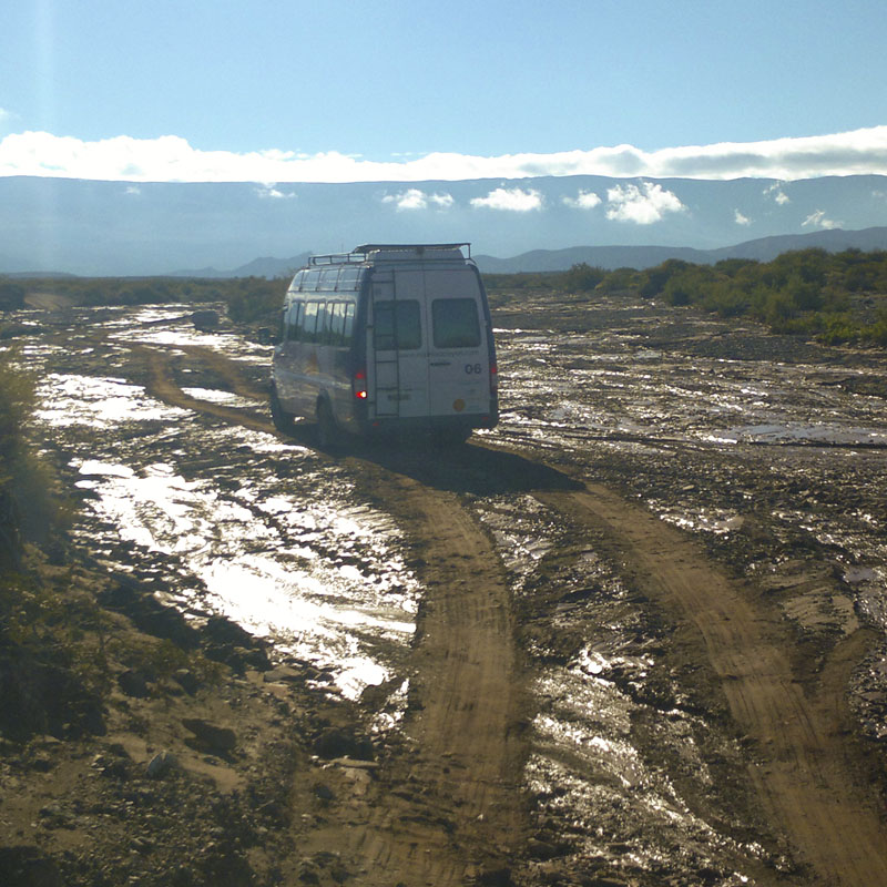 Servicios 4x4 - Expreso Payún
